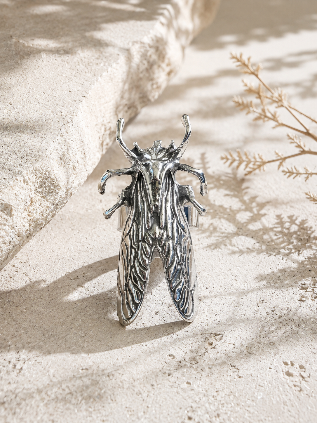 Anello Cicala
